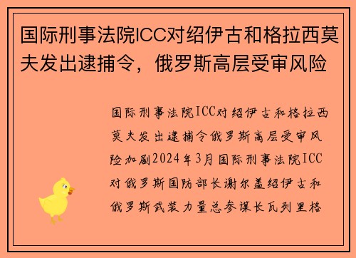 国际刑事法院ICC对绍伊古和格拉西莫夫发出逮捕令，俄罗斯高层受审风险加剧