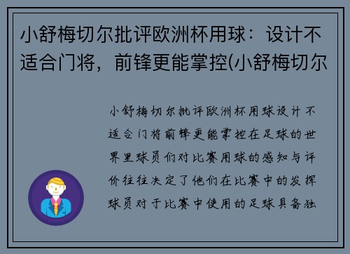 小舒梅切尔批评欧洲杯用球：设计不适合门将，前锋更能掌控(小舒梅切尔英冠进球)